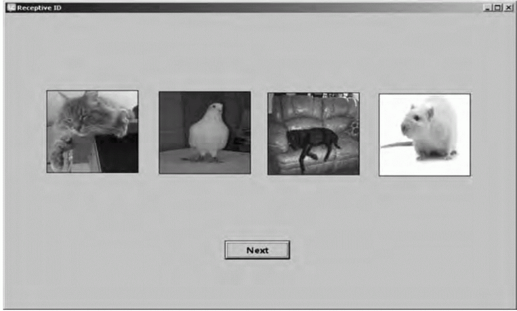Figure 5. The second card of the receptive identification stack – the 4 pictures are image objects that were dragged on the screen and assigned an image. The next button arranges the next trial by sending an “openCard” message that triggers the handler in the card script (see text for more details).